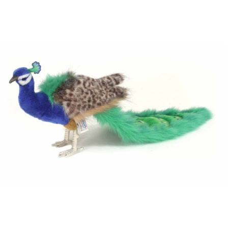 Plush peacock 100 cm